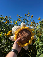 Turtle Crochet Plushie - Sunflower