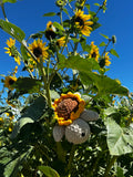 Turtle Crochet Plushie - Sunflower