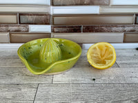 Lime Shower Citrus Juicer