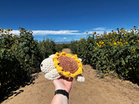 Turtle Crochet Plushie - Sunflower