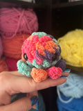 Pocket Octopus - Hummingbird
