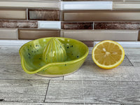 Lime Shower Citrus Juicer