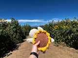 Turtle Crochet Plushie - Sunflower