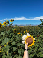 Turtle Crochet Plushie - Sunflower