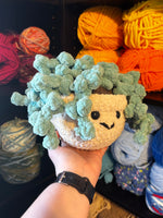 String of Pearls Crochet Plushie