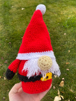 Santa Clause Crochet Gnome