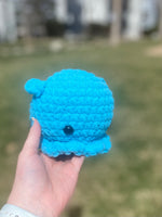 Dumbo Octopus - Blue